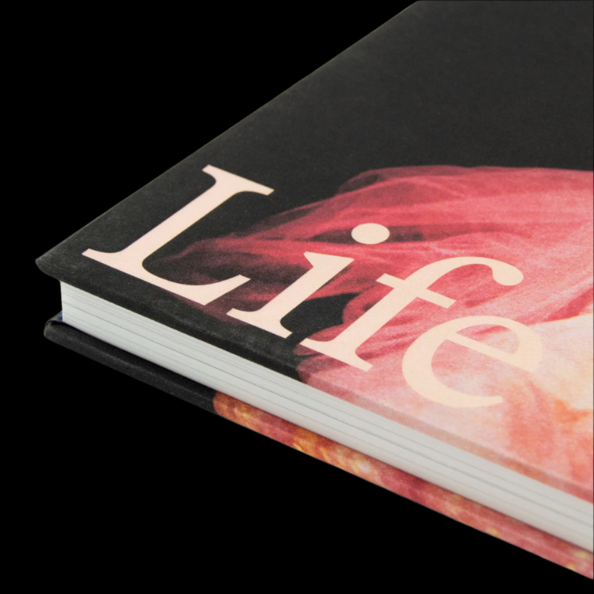 Still Life: Photographs & Love Stories
