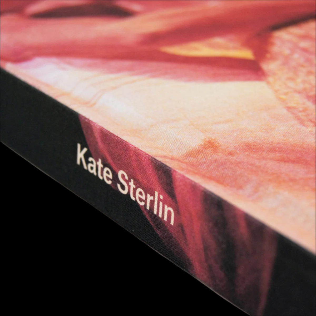 Still Life: Photographs & Love Stories
