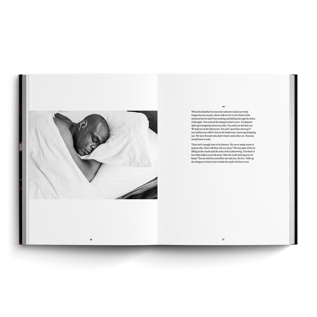 Still Life: Photographs & Love Stories